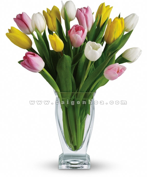 binh hoa tulip dep trong chau thuy tinh