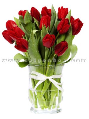 hoa tulip trong nuoc mau do