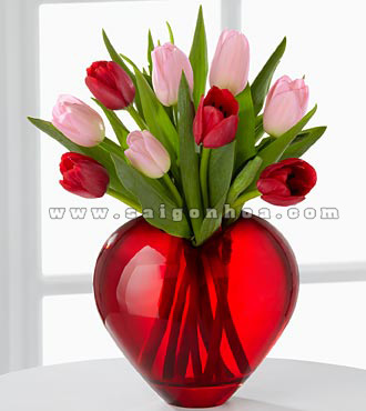 binh hoa tulip Valentine