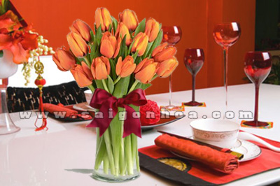 hoa tulip mau cam trang tri Tet