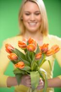 hoa tulip ngay quoc te phu nu