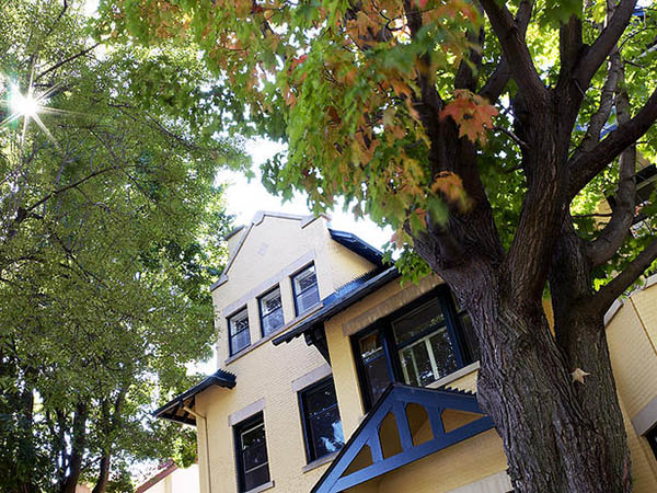 Bottom view of a yellow brick house with very tall trees with green leaves.
