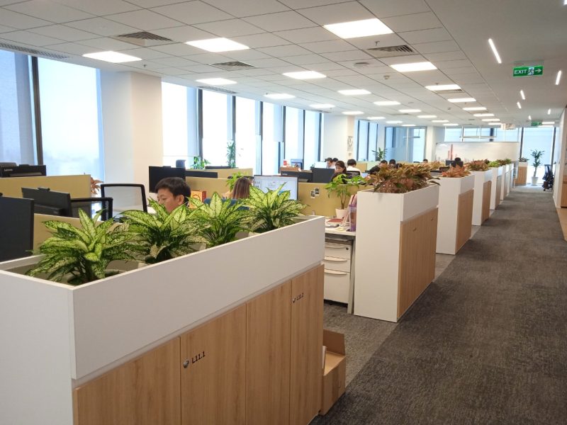 Dịch Vụ Tư Vấn & Lắp Đặt Cây Xanh Văn Phòng Sài Gòn Hoa