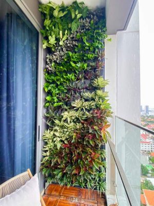 Tường Cây Nội Thất Văn Phòng