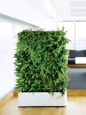 Tường Cây Di Động