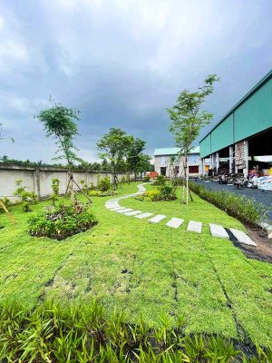 Tiểu Cảnh Dọc Lối Đi Công Ty