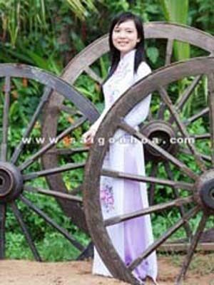 Bánh Xe Bò Trang Trí Tiểu Cảnh