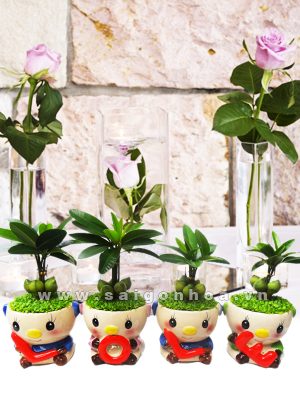 Cây May Mắn Tình Yêu LOVE