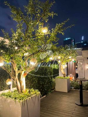 Tiểu Cảnh Trước Văn Phòng Công Ty