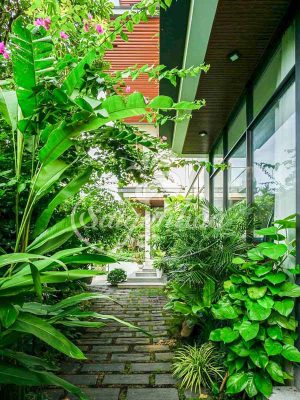 Sân Vườn Biệt Thự