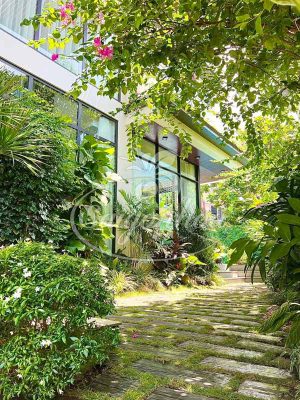 Tiểu Cảnh Cho Tòa Nhà Công Ty