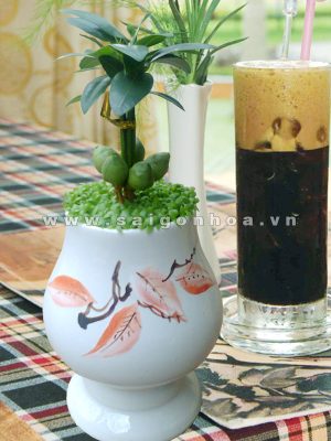 Cây Tài Lộc - May Mắn 013