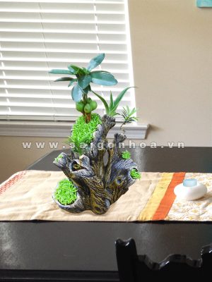 Cây Tài Lộc - May Mắn Gốc Cây