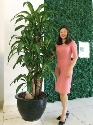 Chậu Cây Phát Tài Cây Thiết Mộc Lan