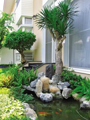 Tiểu cảnh sân trước nhà