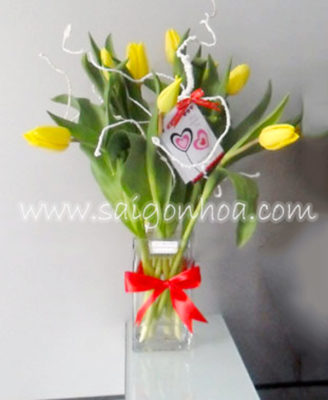 Chau Hoa Tulip