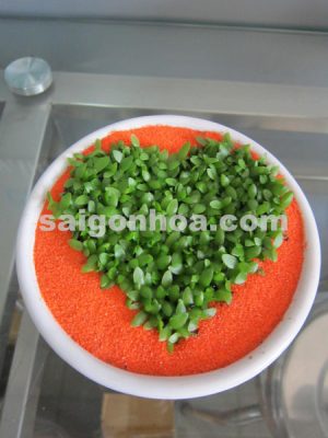 Chậu Trái Tim May Mắn