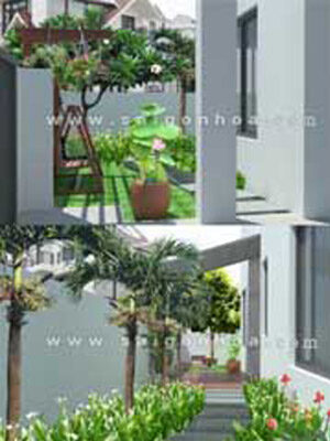 Sân Vườn Biệt Thự Sang Trọng