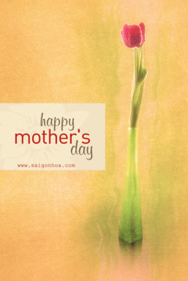 thiep ngay cua me mother's day