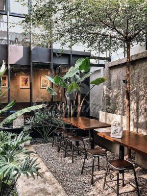 Tiểu Cảnh Quán Cafe 03