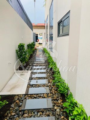 Tiểu cảnh dọc lối đi