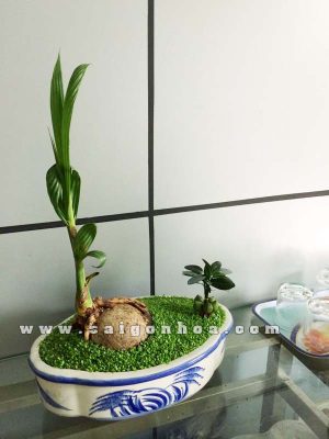 Tiểu Cảnh May Mắn