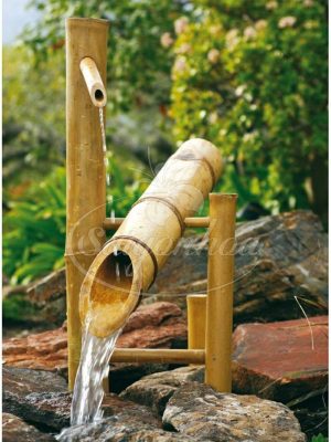 Tiểu Cảnh Nước Ống Tre Và Lu