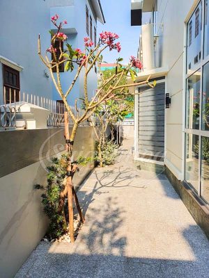 BIG SALE CÂY CÔNG TRÌNH BÙNG NỔ TẠI SÀI GÒN HOA