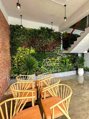 Tường Cây Nội Thất Văn Phòng
