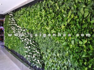 Tường Cây Với Trầu Bà và Lan Ý