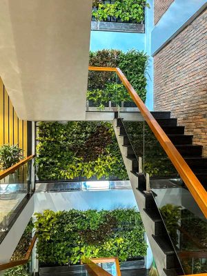 Tường Cây Dưới Chân Cầu Thang