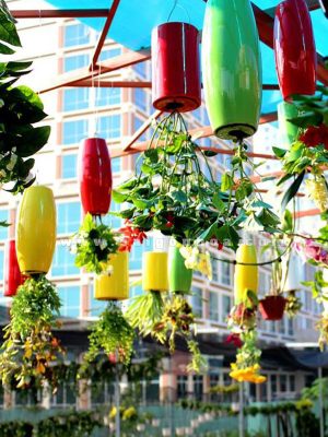 Hoa Treo Ngược Các Kiểu