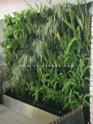 Tường Cây Nội Thất Trong Nhà Hàng