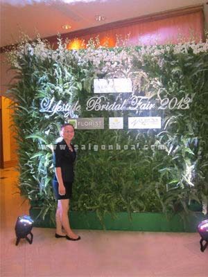 Tường Cây Trang Trí Sự kiện