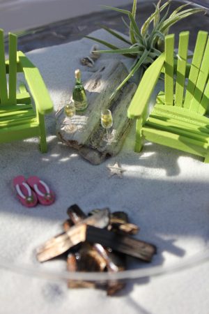 Tiểu Cảnh Cây Không Khí Mini