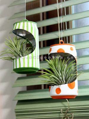 Cây Không Khí Chậu Treo Trung Thu