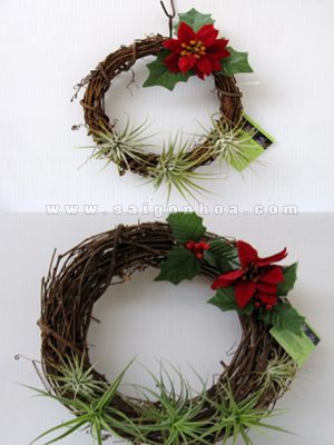 Cây không khí vòng hoa