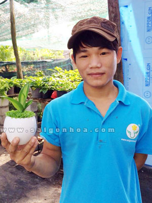 chau may man phat tai 2