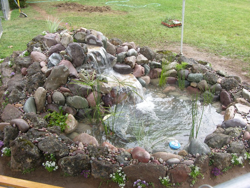 Hướng dẫn tạo hồ để làm thác nước trong sân vườn • Sài Gòn Hoa 2022