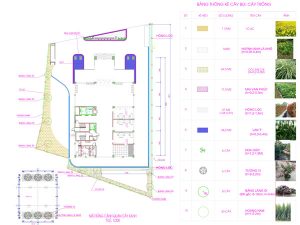 Phương án thi công công trình cảnh quan