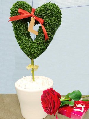 Cây May Mắn Trái Tim Yêu