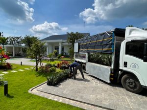 Phương án thi công công trình cảnh quan