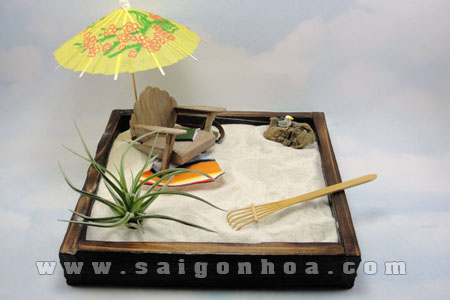 tieu canh cay khong khi mini 2