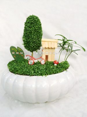 Tiểu Cảnh May Mắn Tuổi Thơ