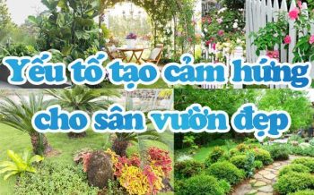 Yeu To Tao Cam Hung Cho San Vuon Dep