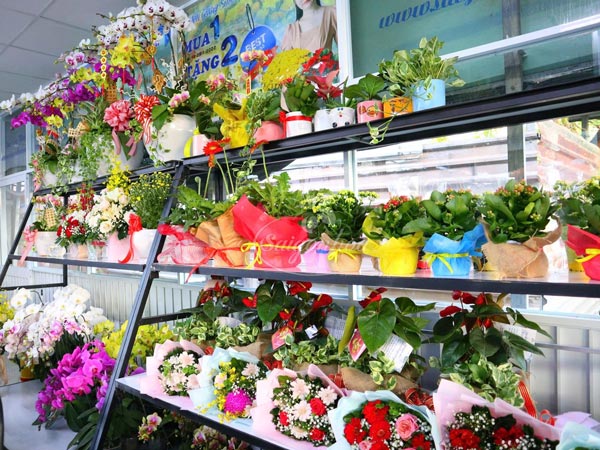 Hoa-Sống-Đời-Ngày-Của-Mẹ-10