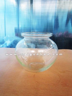 Chậu Thủy Tinh 01