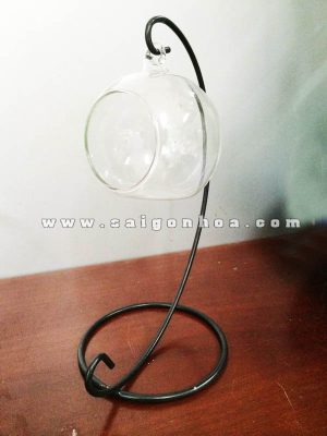 Chậu Thủy Tinh Quả Cầu Đường Kính 8cm