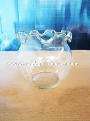Chậu Thủy Tinh Tròn Bèo