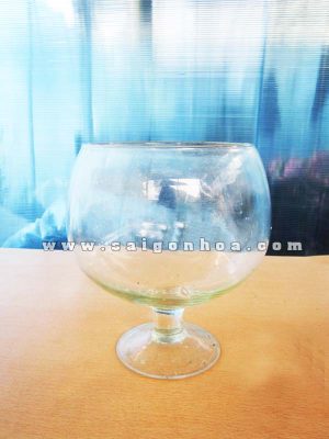 Chậu Thủy Tinh Ly Tròn